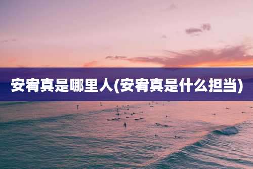 安宥真是哪里人(安宥真是什么担当)