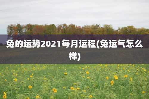 兔的运势2021每月运程(兔运气怎么样)