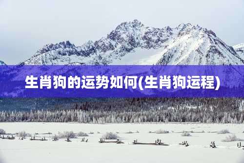 生肖狗的运势如何(生肖狗运程)