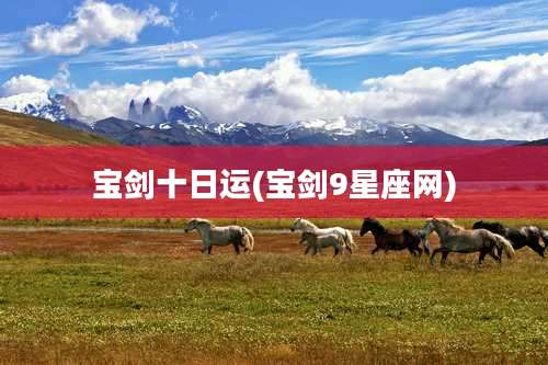 宝剑十日运(宝剑9星座网)