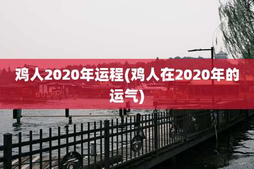 鸡人2020年运程(鸡人在2020年的运气)