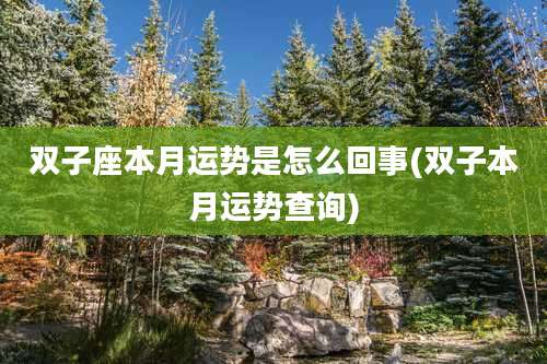 双子座本月运势是怎么回事(双子本月运势查询)