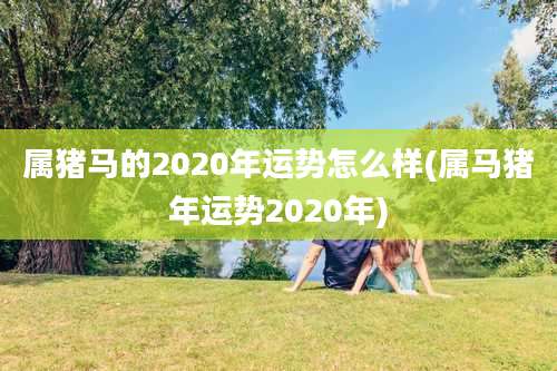 属猪马的2020年运势怎么样(属马猪年运势2020年)