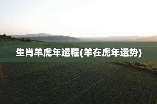 生肖羊虎年运程(羊在虎年运势)