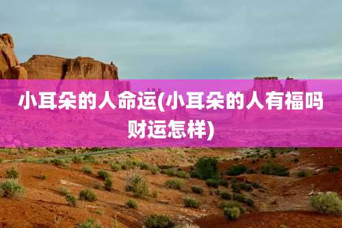 小耳朵的人命运(小耳朵的人有福吗财运怎样)