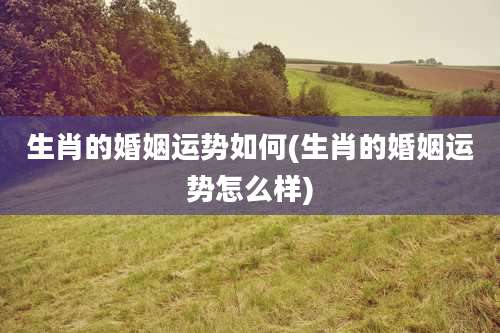 生肖的婚姻运势如何(生肖的婚姻运势怎么样)