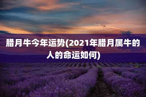 腊月牛今年运势(2021年腊月属牛的人的命运如何)