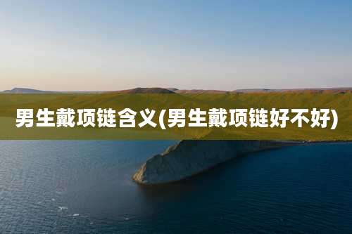 男生戴项链含义(男生戴项链好不好)