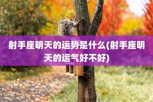 射手座明天的运势是什么(射手座明天的运气好不好)