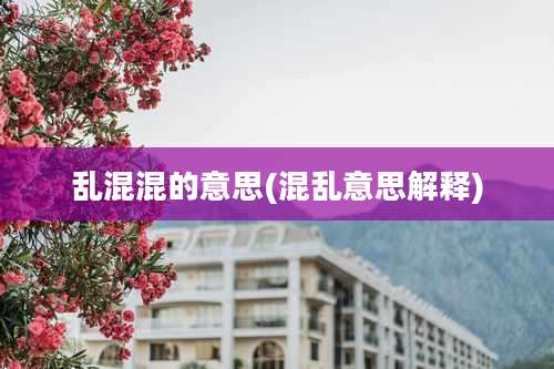 乱混混的意思(混乱意思解释)