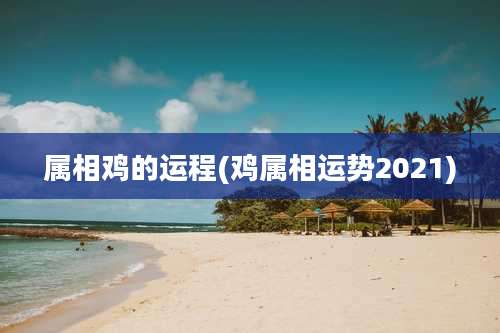 属相鸡的运程(鸡属相运势2021)