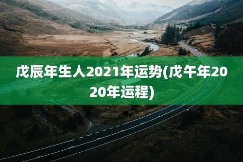 戊辰年生人2021年运势(戊午年2020年运程)
