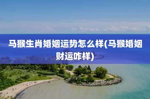 马猴生肖婚姻运势怎么样(马猴婚姻财运咋样)