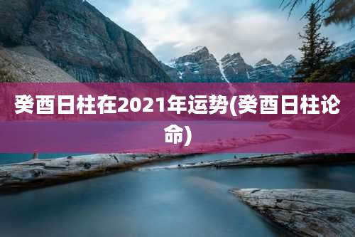 癸酉日柱在2021年运势(癸酉日柱论命)