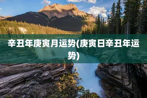 辛丑年庚寅月运势(庚寅日辛丑年运势)