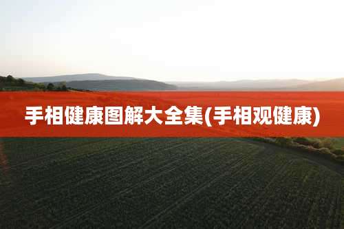 手相健康图解大全集(手相观健康)