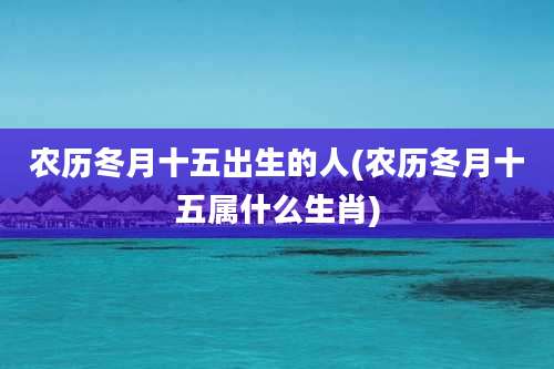 农历冬月十五出生的人(农历冬月十五属什么生肖)