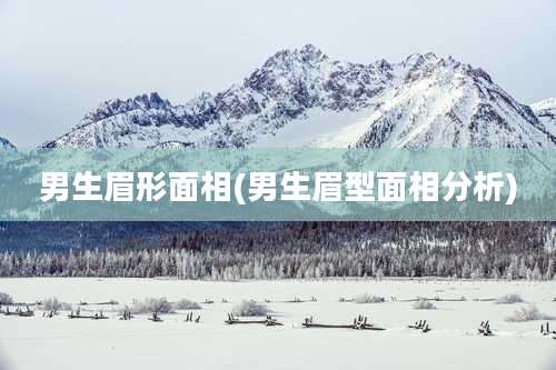 男生眉形面相(男生眉型面相分析)