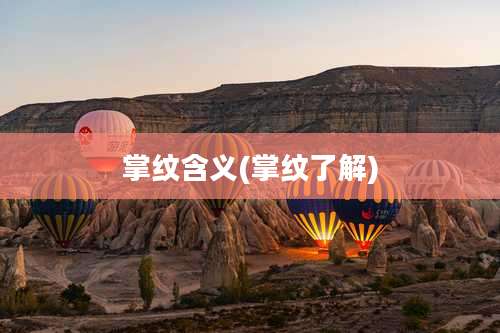 掌纹含义(掌纹了解)