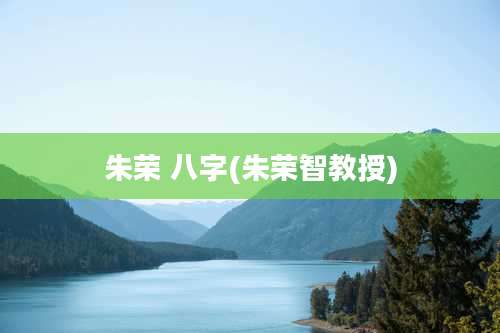 朱荣 八字(朱荣智教授)