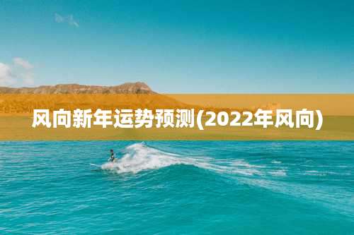 风向新年运势预测(2022年风向)