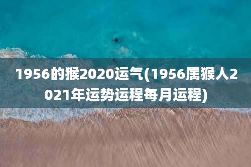 1956的猴2020运气(1956属猴人2021年运势运程每月运程)