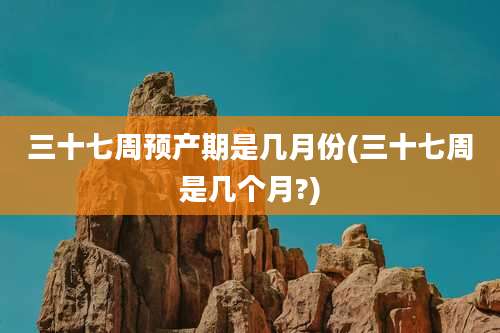 三十七周预产期是几月份(三十七周是几个月?)