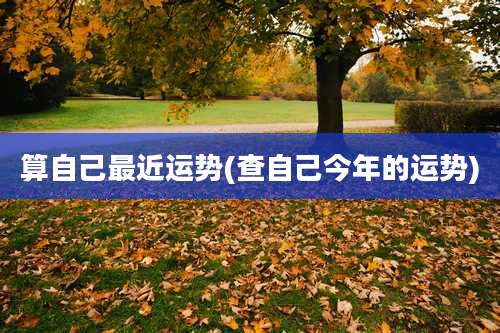 算自己最近运势(查自己今年的运势)