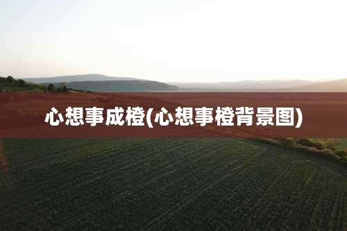 心想事成橙(心想事橙背景图)