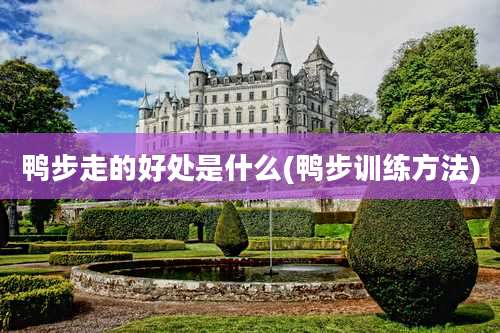 鸭步走的好处是什么(鸭步训练方法)