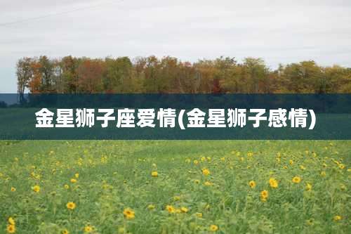 金星狮子座爱情(金星狮子感情)