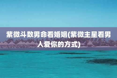 紫微斗数男命看婚姻(紫微主星看男人爱你的方式)
