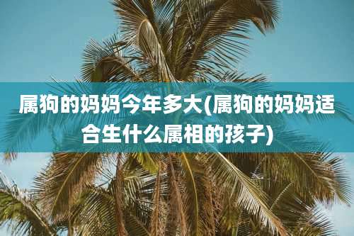 属狗的妈妈今年多大(属狗的妈妈适合生什么属相的孩子)