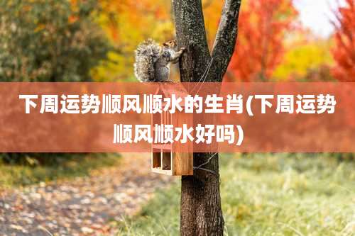 下周运势顺风顺水的生肖(下周运势顺风顺水好吗)