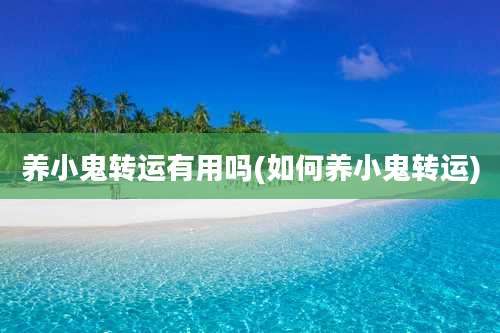 养小鬼转运有用吗(如何养小鬼转运)