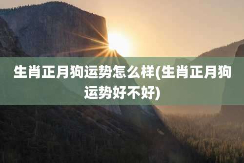 生肖正月狗运势怎么样(生肖正月狗运势好不好)