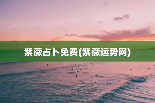 紫薇占卜免费(紫薇运势网)