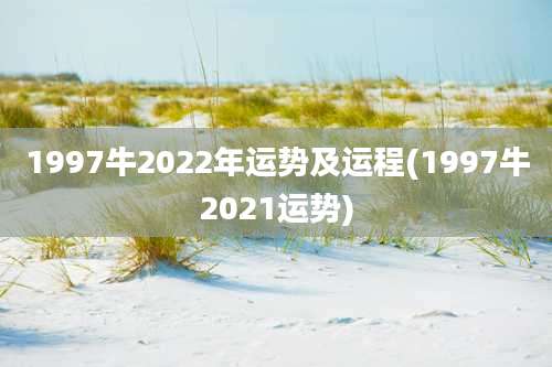 1997牛2022年运势及运程(1997牛2021运势)