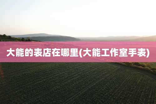 大能的表店在哪里(大能工作室手表)