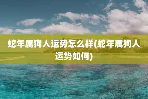蛇年属狗人运势怎么样(蛇年属狗人运势如何)