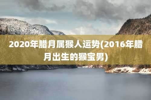 2020年腊月属猴人运势(2016年腊月出生的猴宝男)