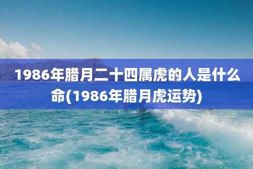 1986年腊月二十四属虎的人是什么命(1986年腊月虎运势)