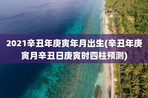 2021辛丑年庚寅年月出生(辛丑年庚寅月辛丑日庚寅时四柱预测)