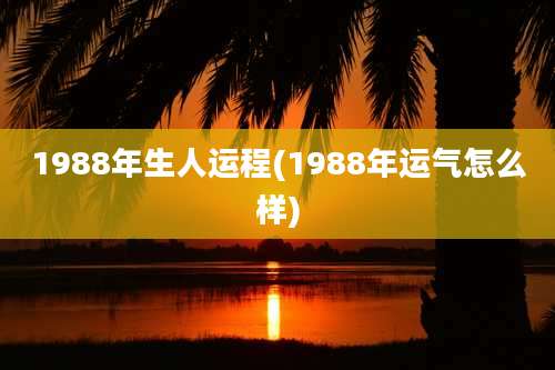 1988年生人运程(1988年运气怎么样)