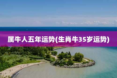 属牛人五年运势(生肖牛35岁运势)