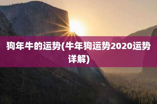 狗年牛的运势(牛年狗运势2020运势详解)