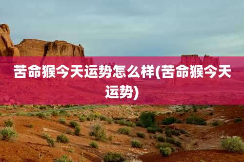 苦命猴今天运势怎么样(苦命猴今天运势)