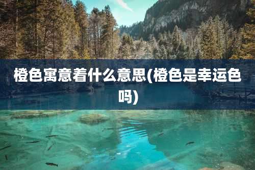 橙色寓意着什么意思(橙色是幸运色吗)