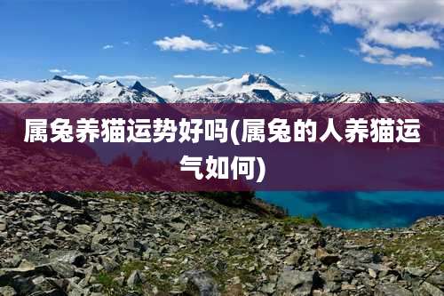 属兔养猫运势好吗(属兔的人养猫运气如何)