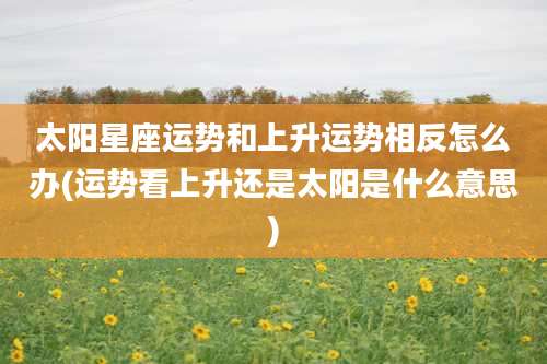 太阳星座运势和上升运势相反怎么办(运势看上升还是太阳是什么意思)